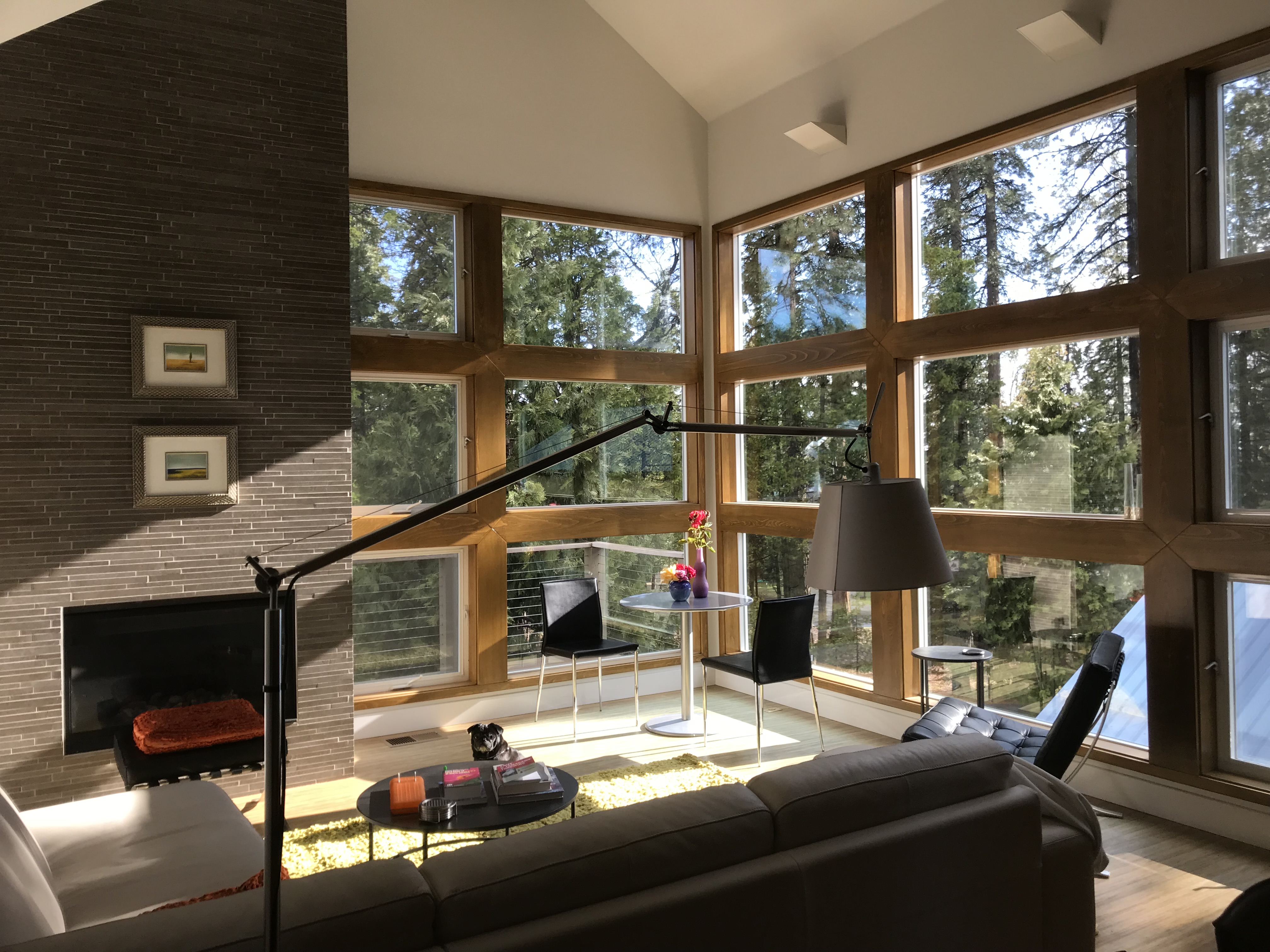 Silvertip Lane For Sale