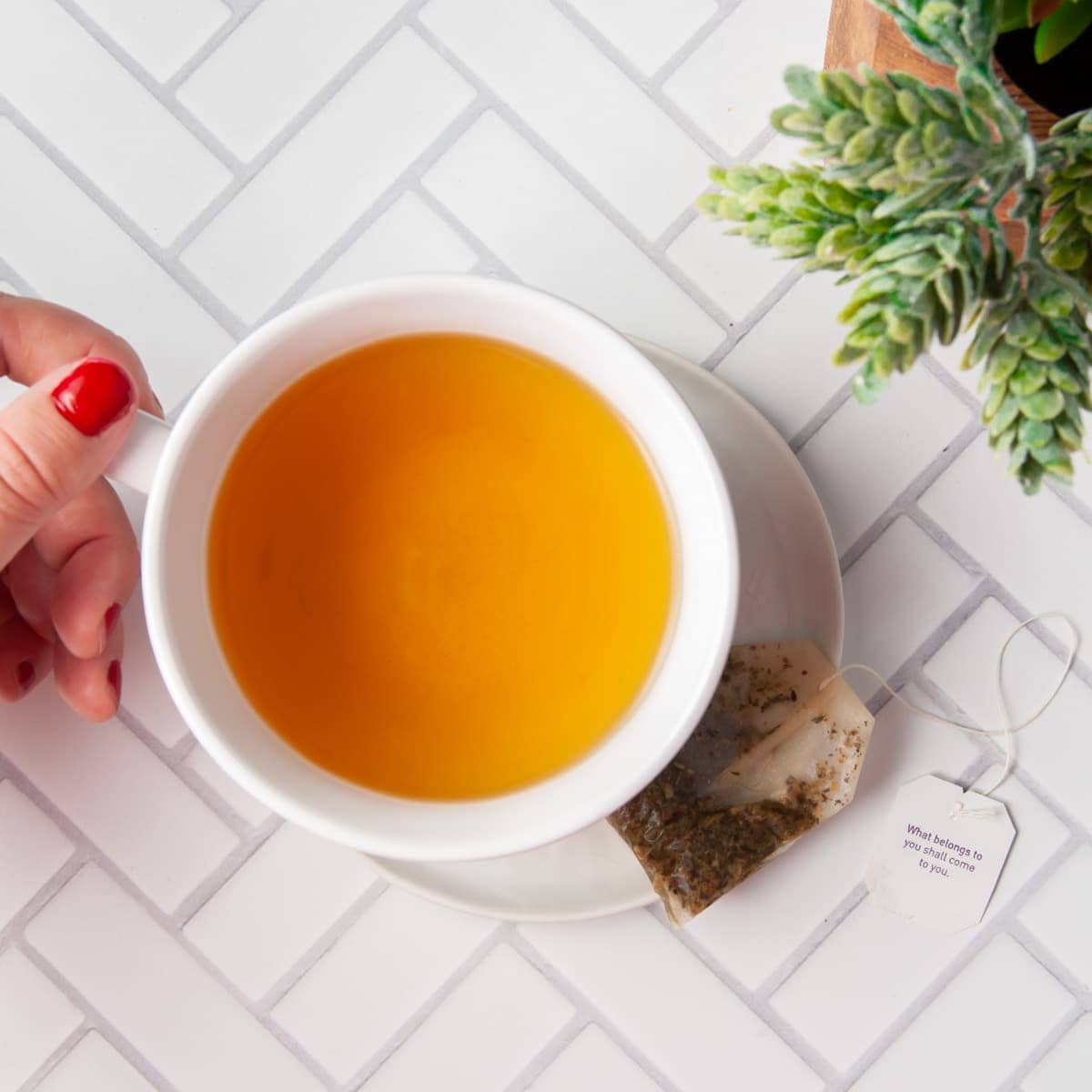 Can You Compost Tea Bags? — Marley's Menu