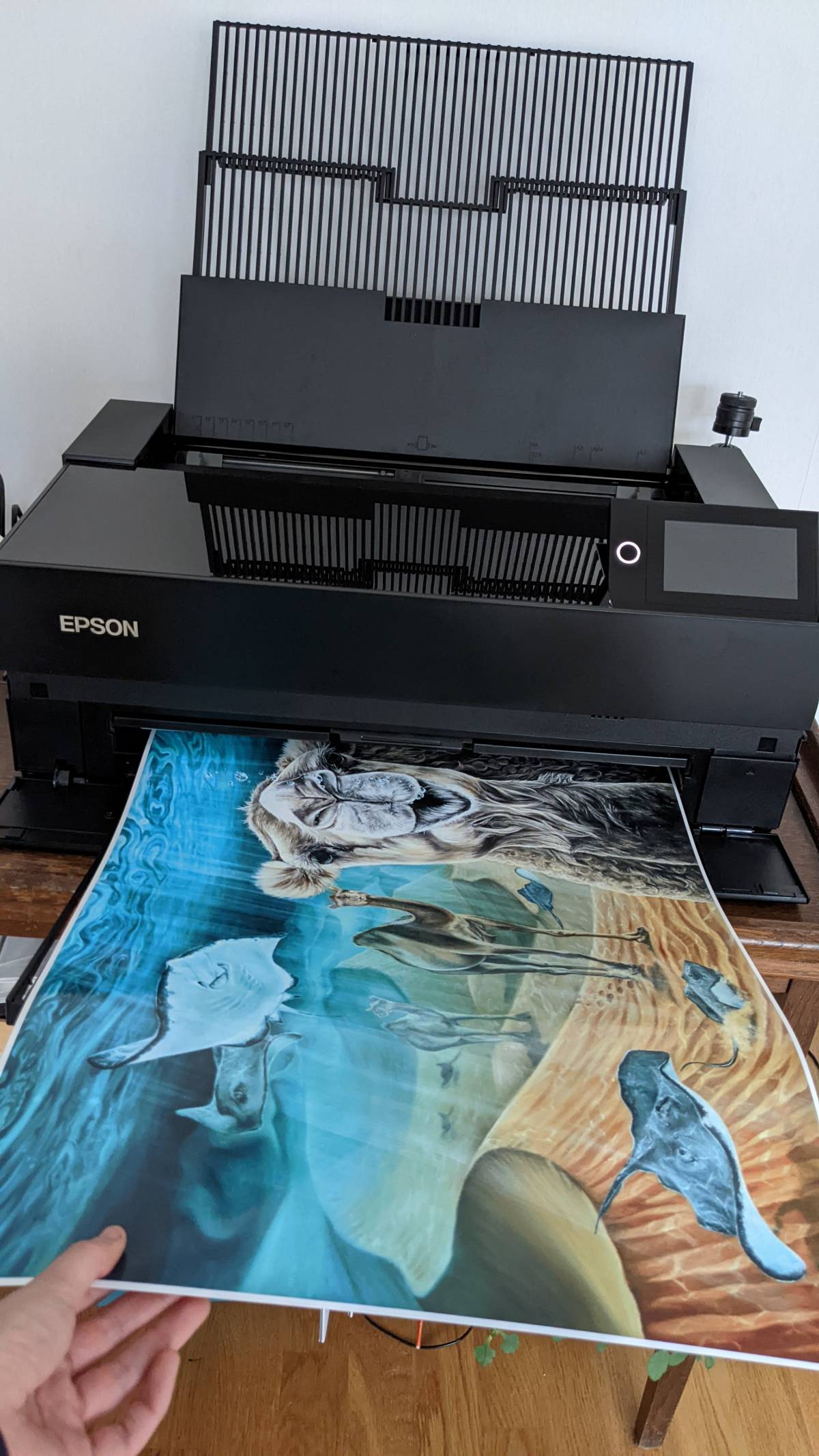 A2 prints now available!