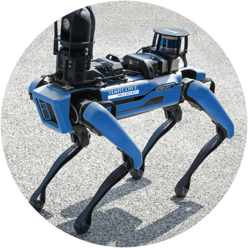 Spot The Robot Dog Marlowe Fire & Security