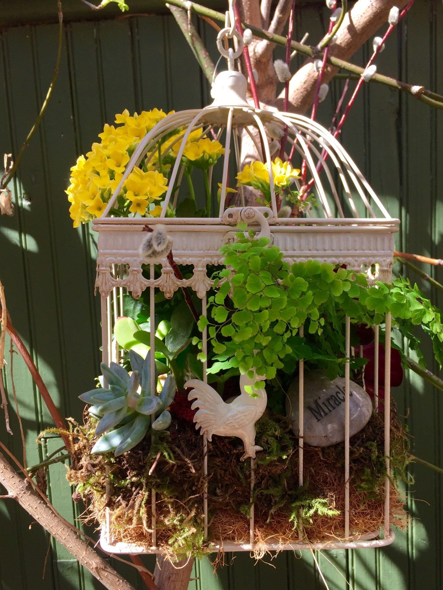 Bird Cage Hanging Planter Marlow Floralworks Online Store