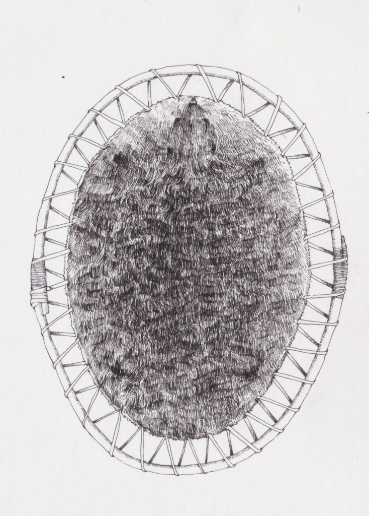 hooped beaver pelt MARLY BEYER