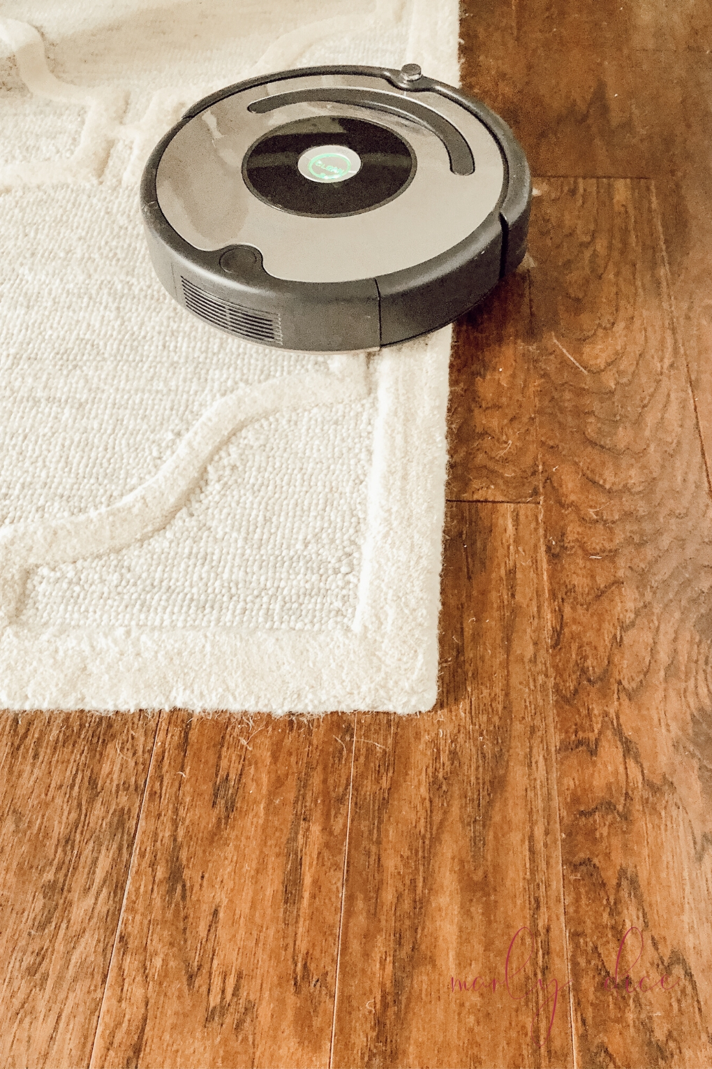 Roomba Vacuum Is it worth it? Marly Dice