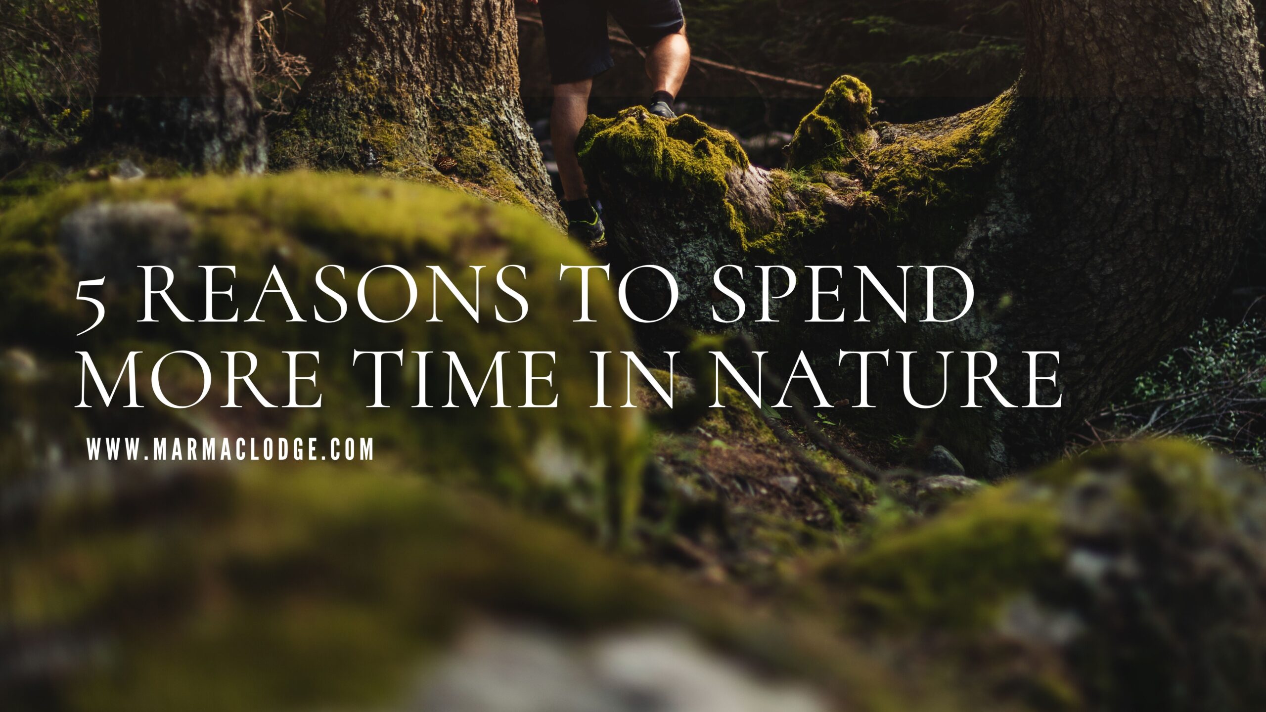 Wilderness Vacations Archives Mar Mac Lodge