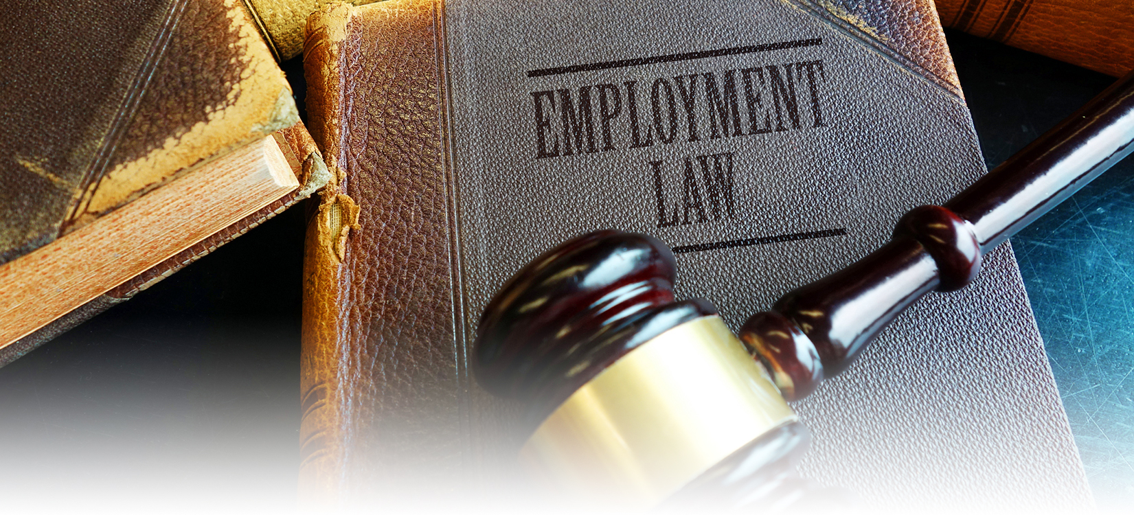 Labor & Employment Marmero Law Firm NJ