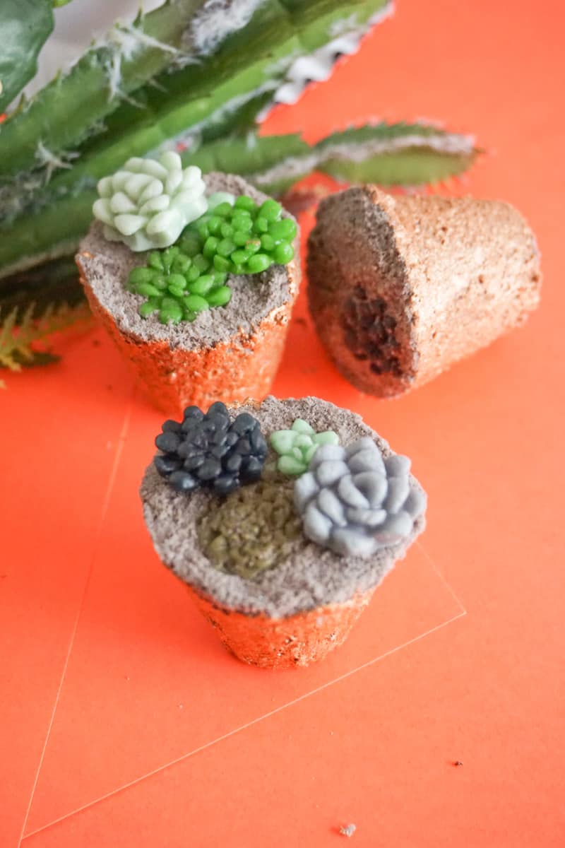 Succulent Bath Bombs You Can Make at Home! MarocMama
