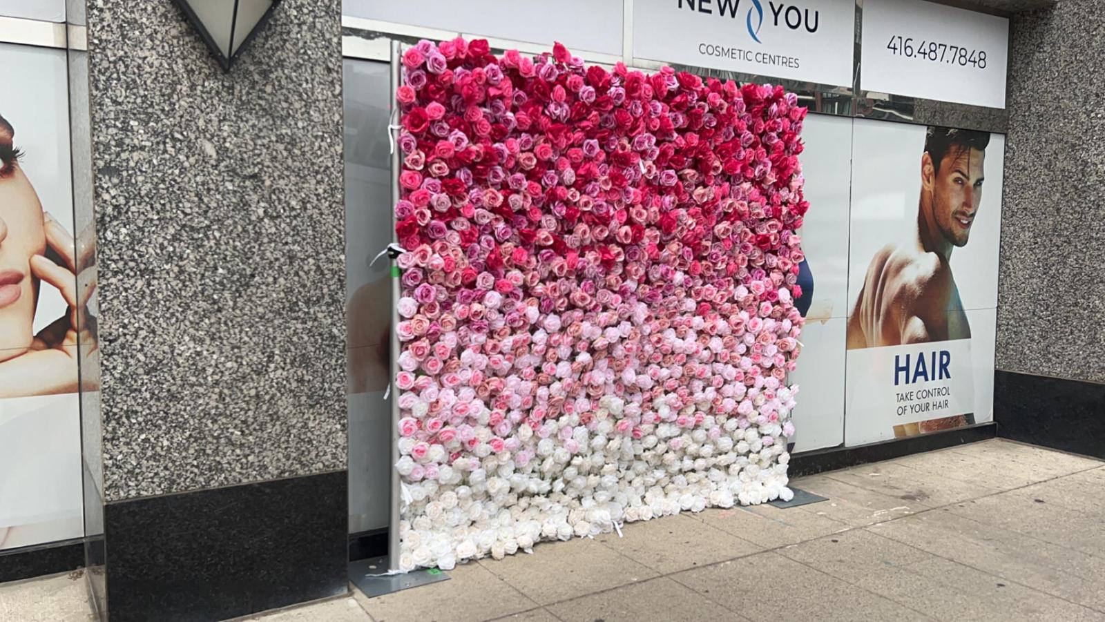 Flower Wall Rental Hamilton