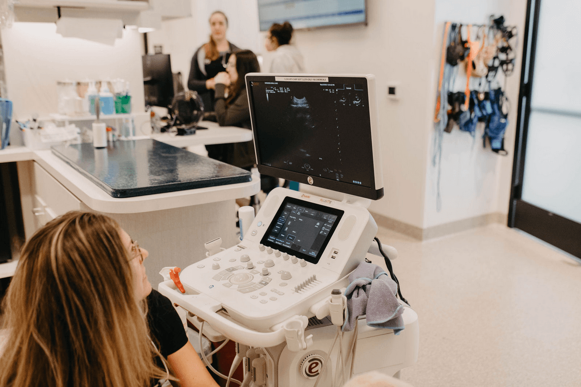 Veterinary Diagnostic Imaging Roseville CA MarQueen Pet Emergency