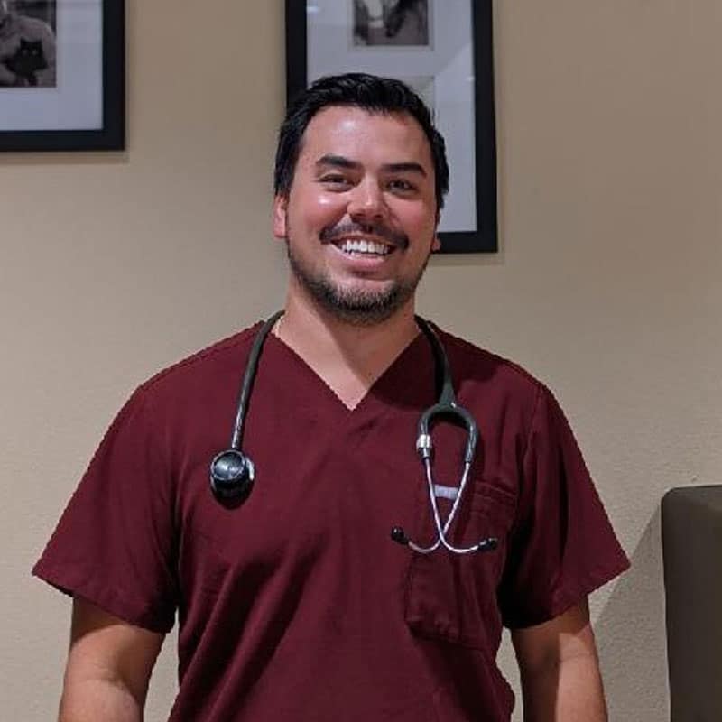 Local Crew Emergency vet in Upland 24 hour vet clinic near me MarQueen Veterinary ER