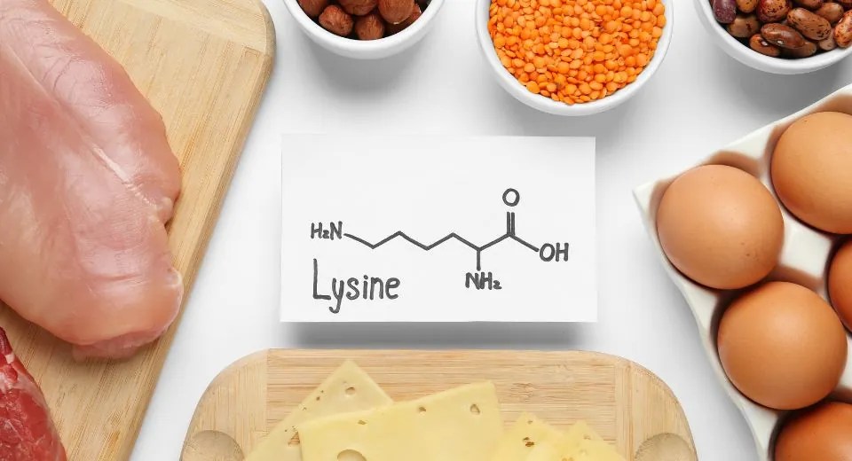What is Lysine? Marque Medical