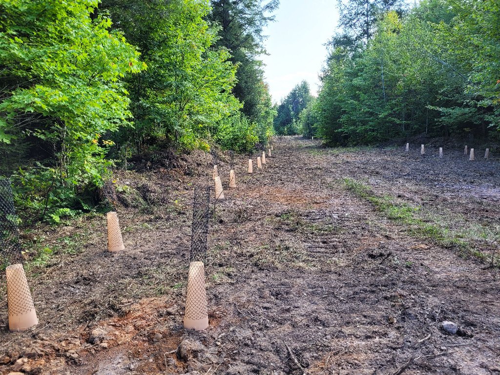 Marquette County Conservation District Preserve Protect Maintain