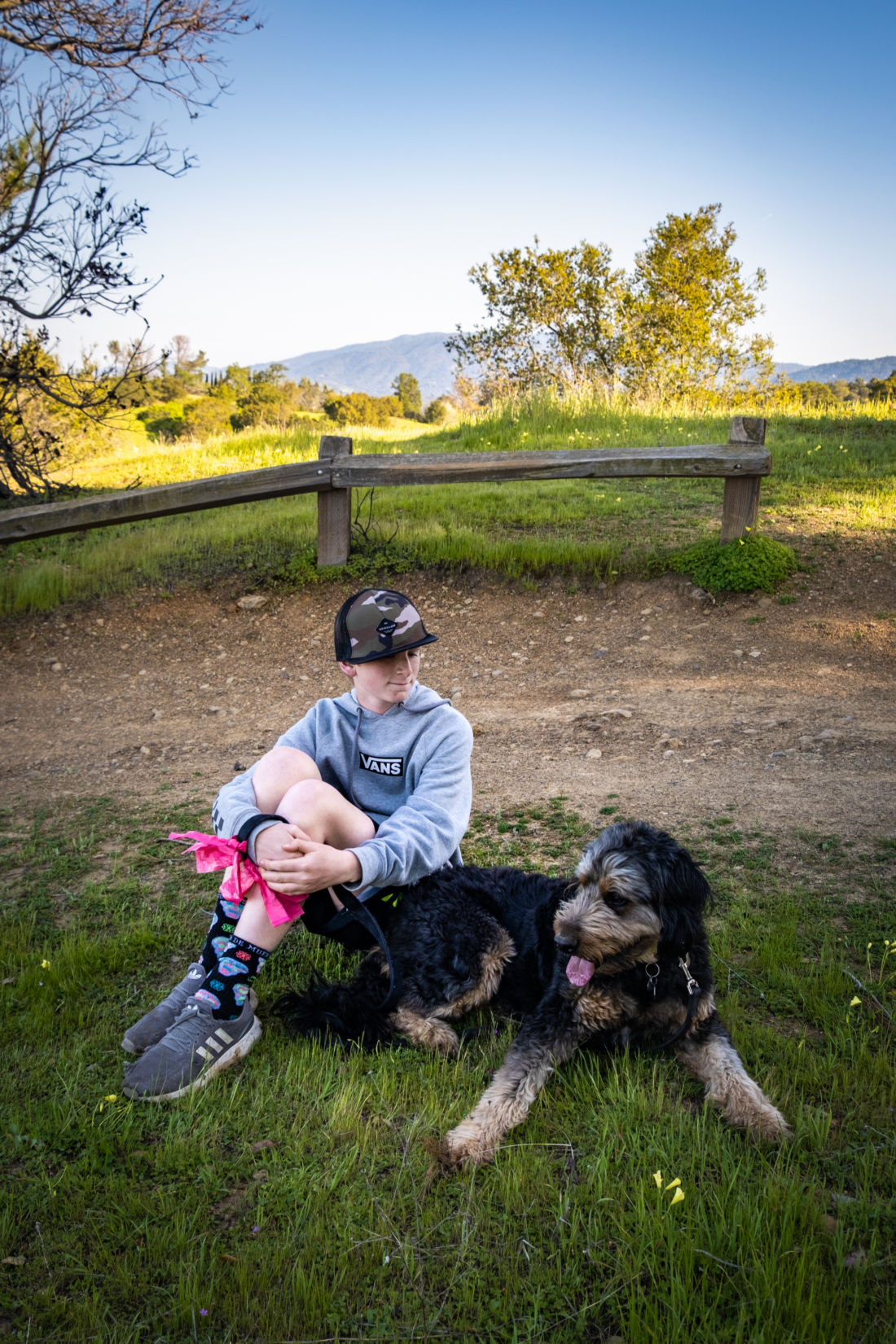 The Best Bay Area Dog Friendly Hikes Marquez Five Adventures