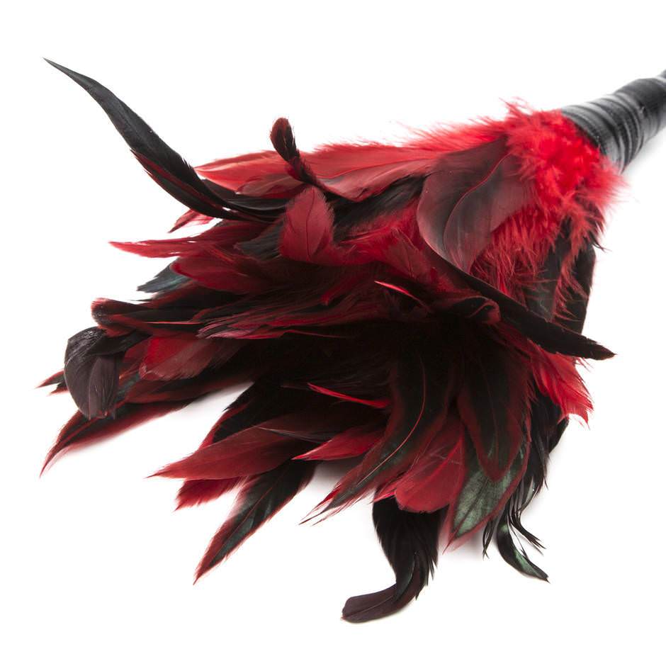Frisky Feather Duster Christian sex toy store