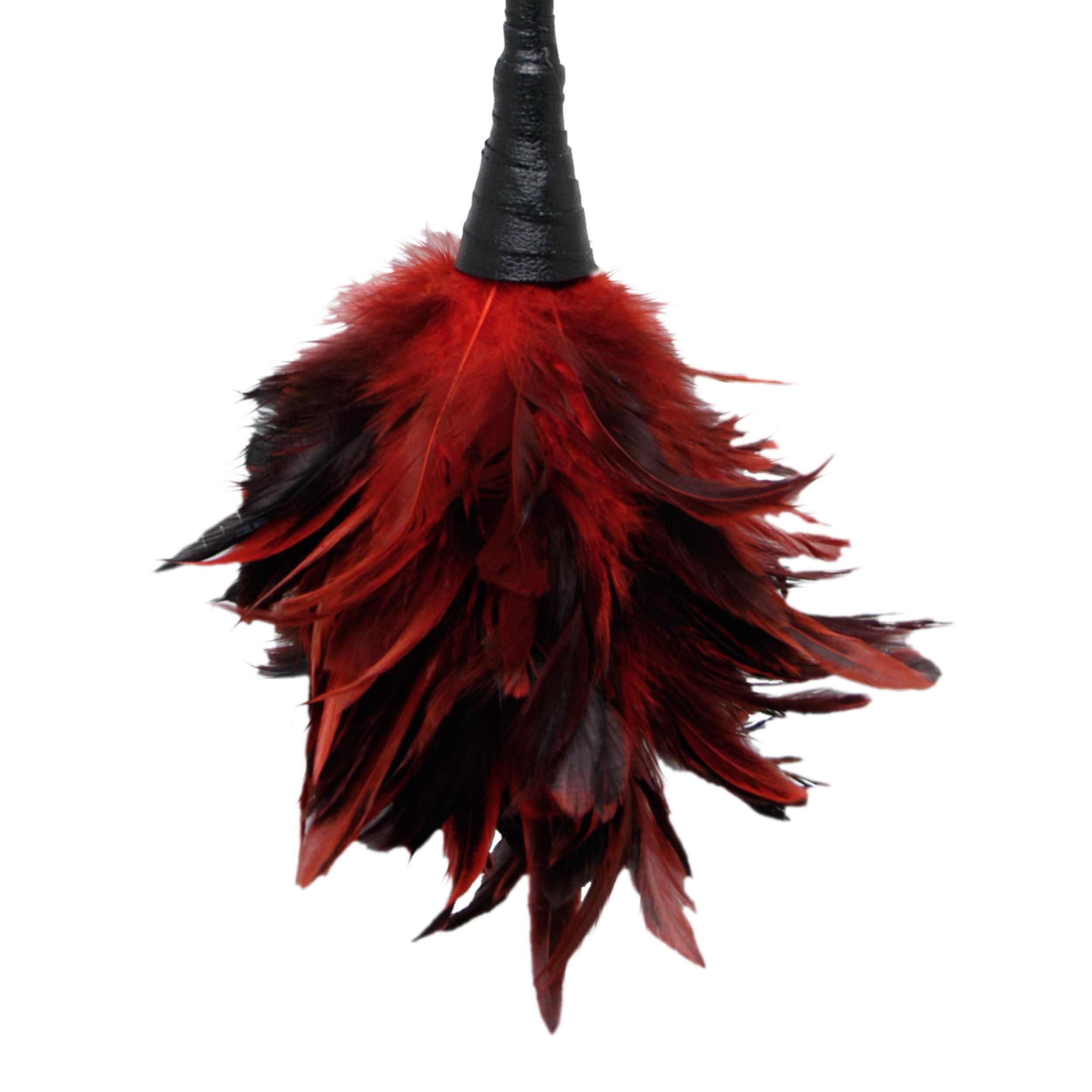 Frisky Feather Duster Christian sex toy store