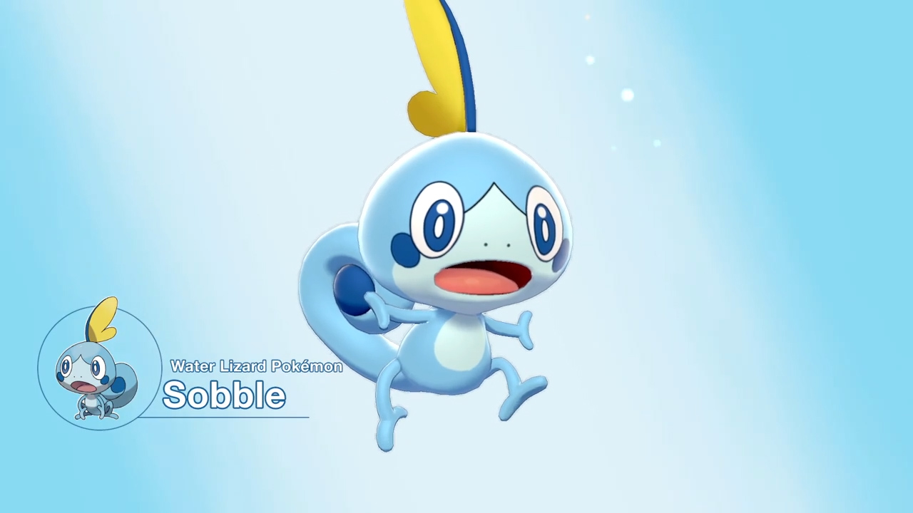 Sobble • Pokémon Sword & Shield •