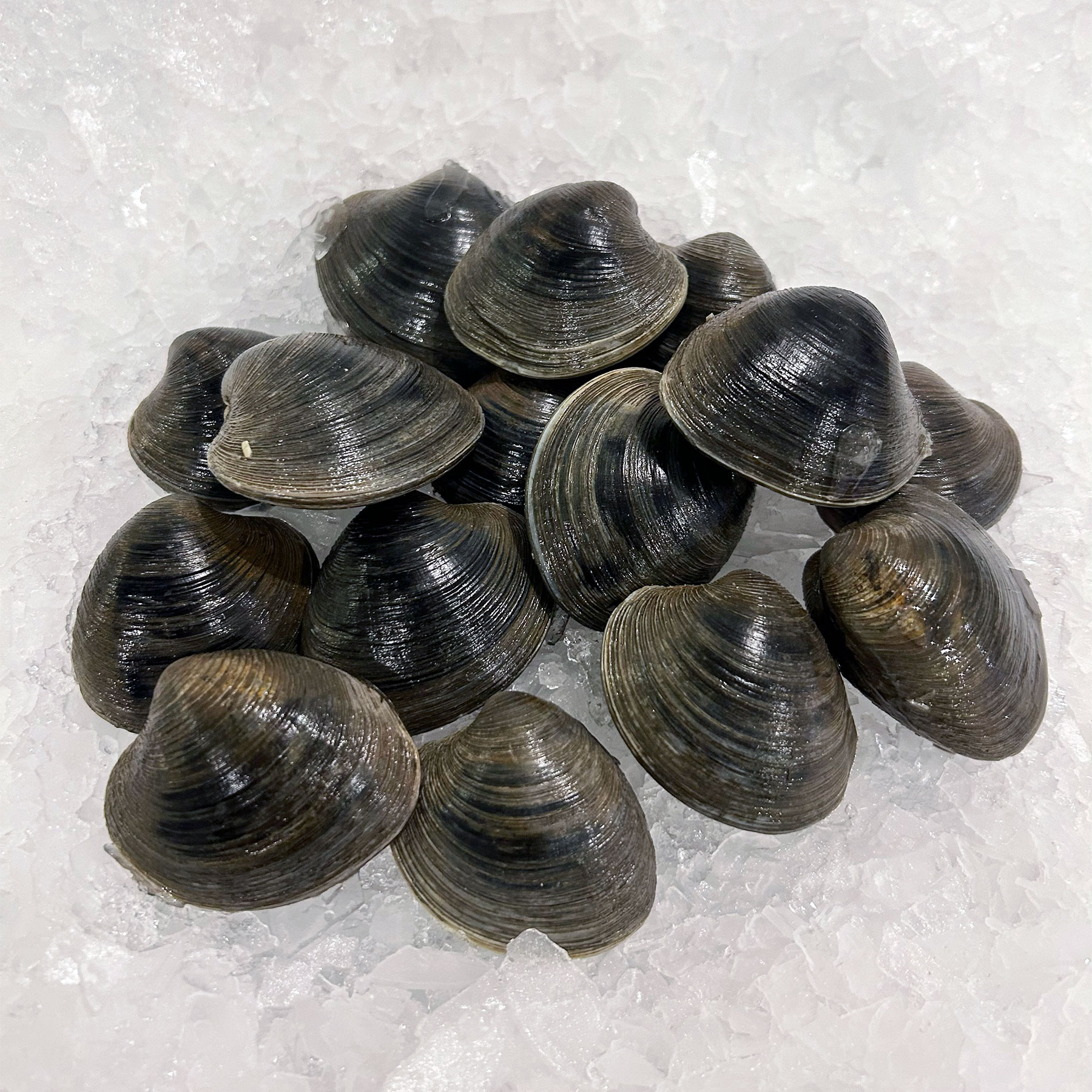 Clams Mar Seafood