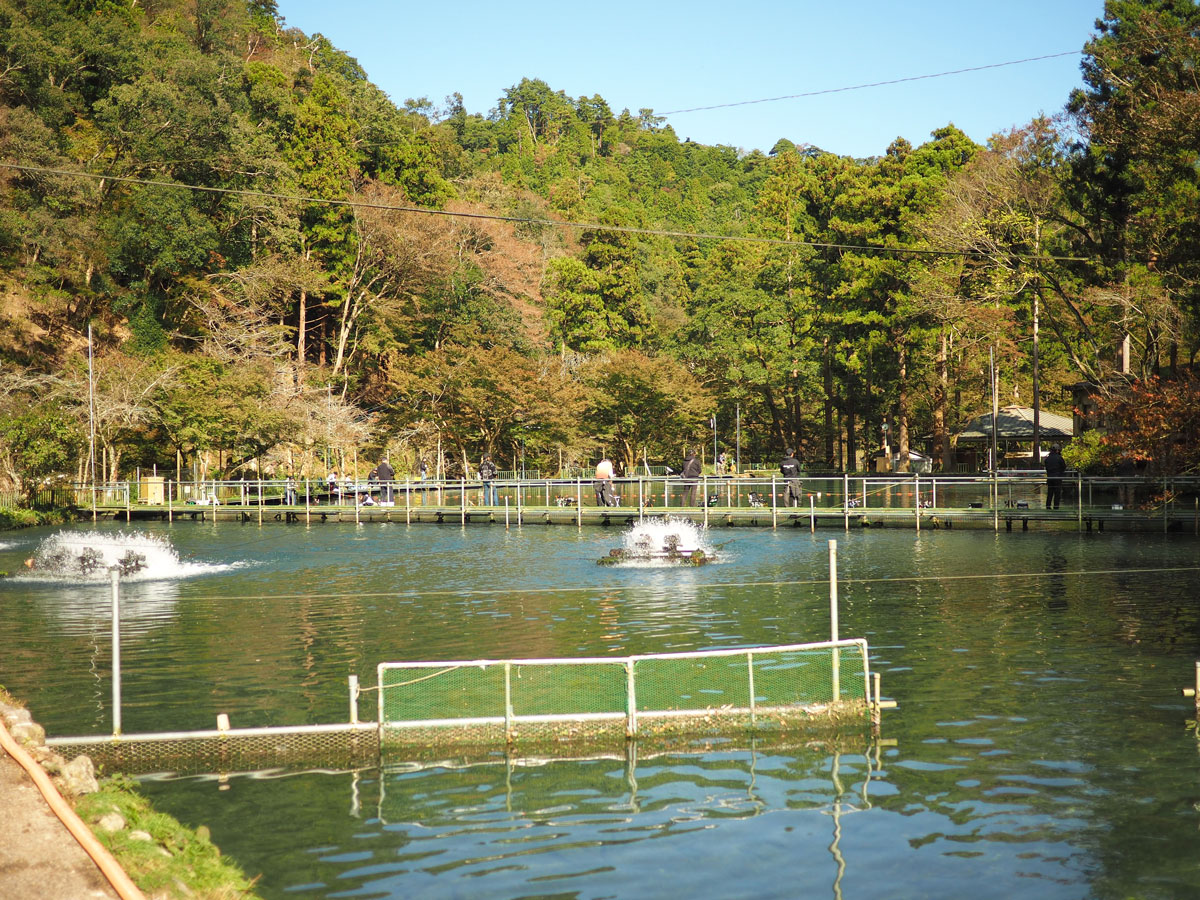 滋賀岐阜アウトドアーの旅 湖西ドライブ編 mars旅