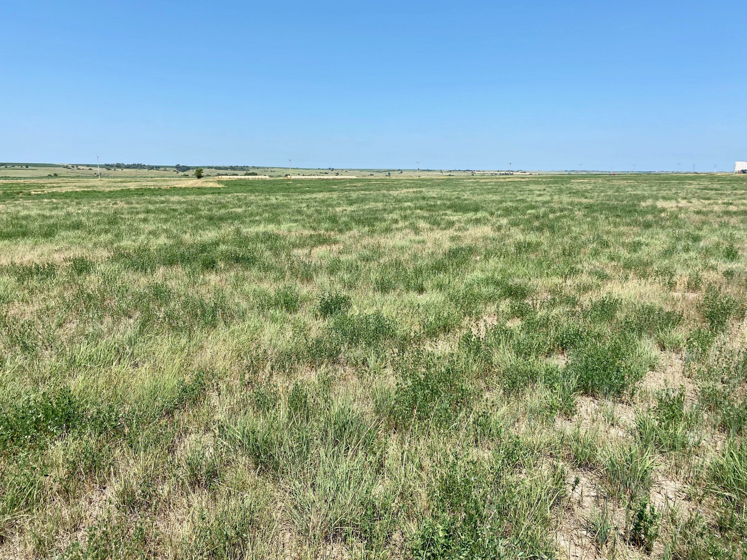 153.74 ACRES CROPLAND & GRASSLAND GOSPER COUNTY, NE Marshall Land