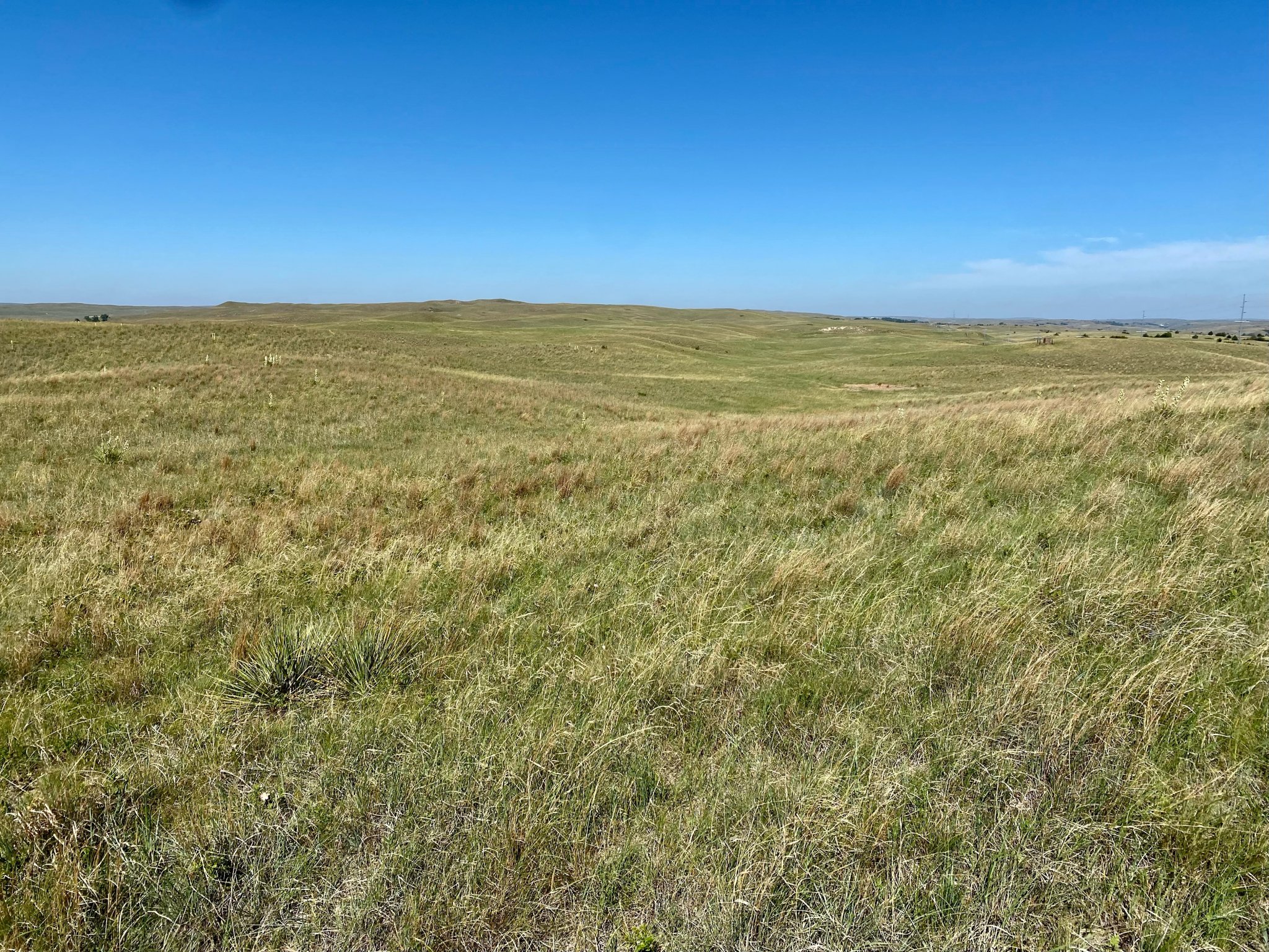 Farm & Ranch Land For Sale Marshall Land Brokers & Auctioneers of