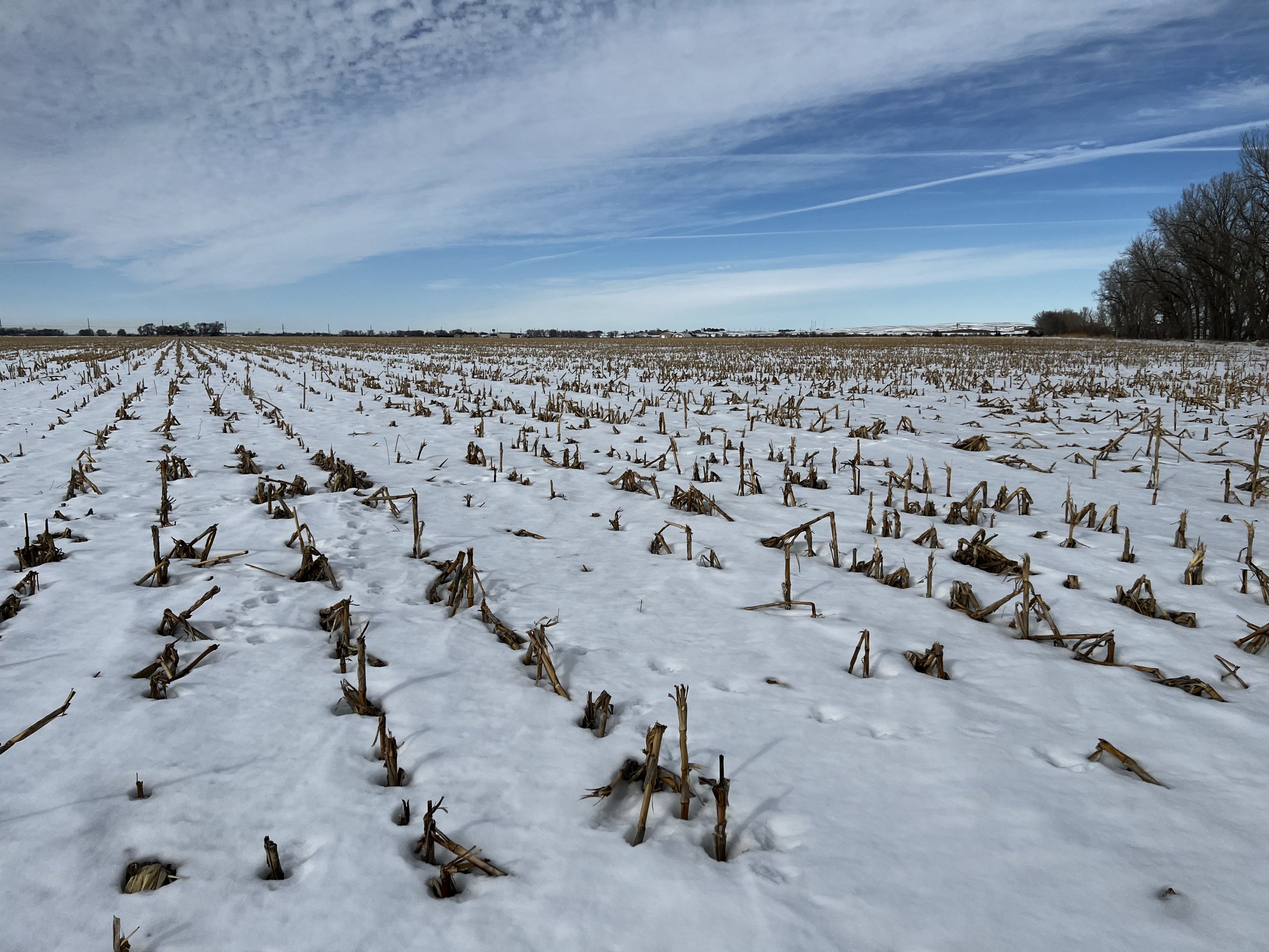 SOLD 181 ACRES CROPLAND & ACCRETION DAWSON COUNTY, NE Marshall Land Brokers