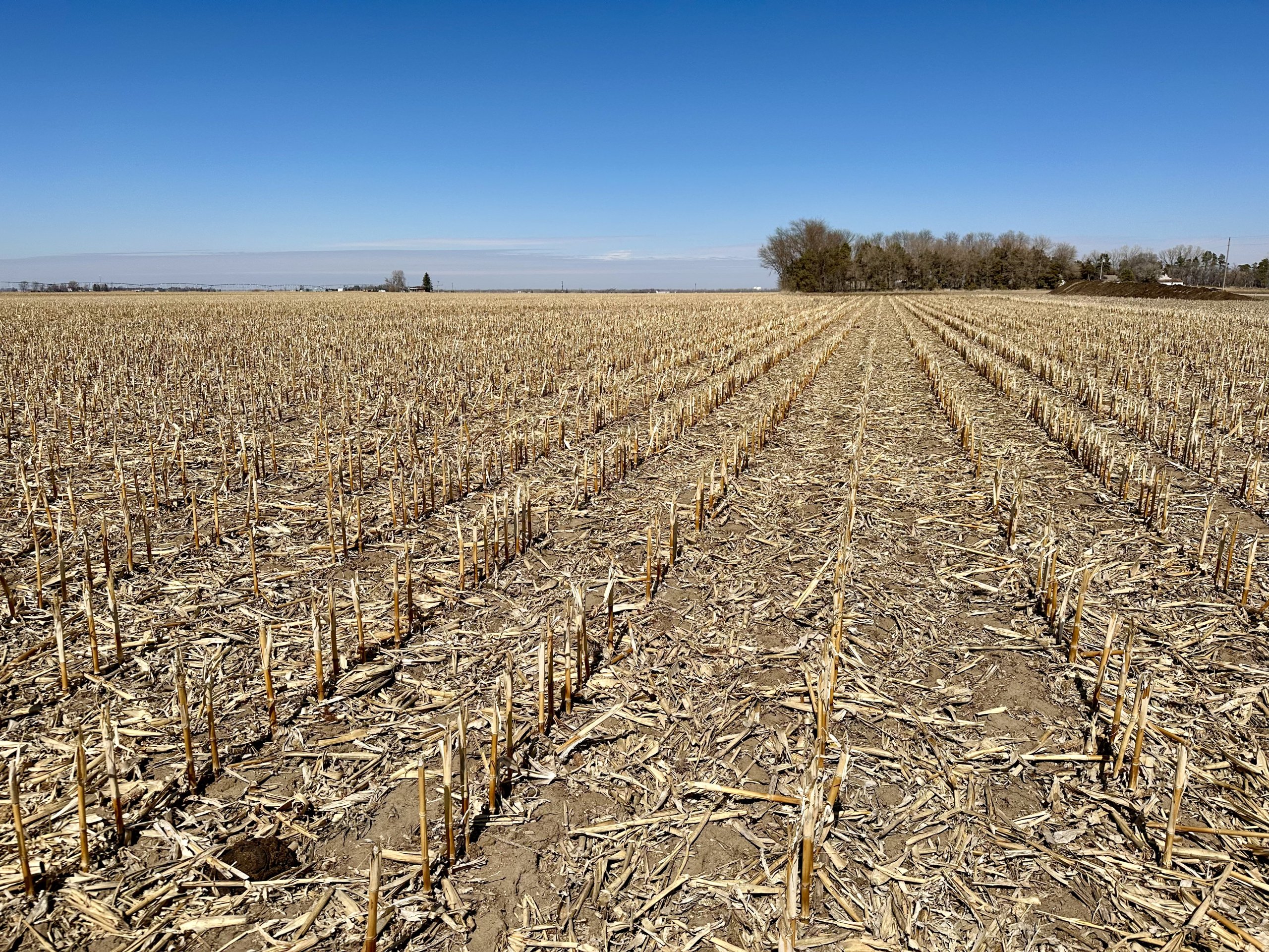 SOLD 74.84 ACRES CROPLAND DAWSON COUNTY, NE Marshall Land