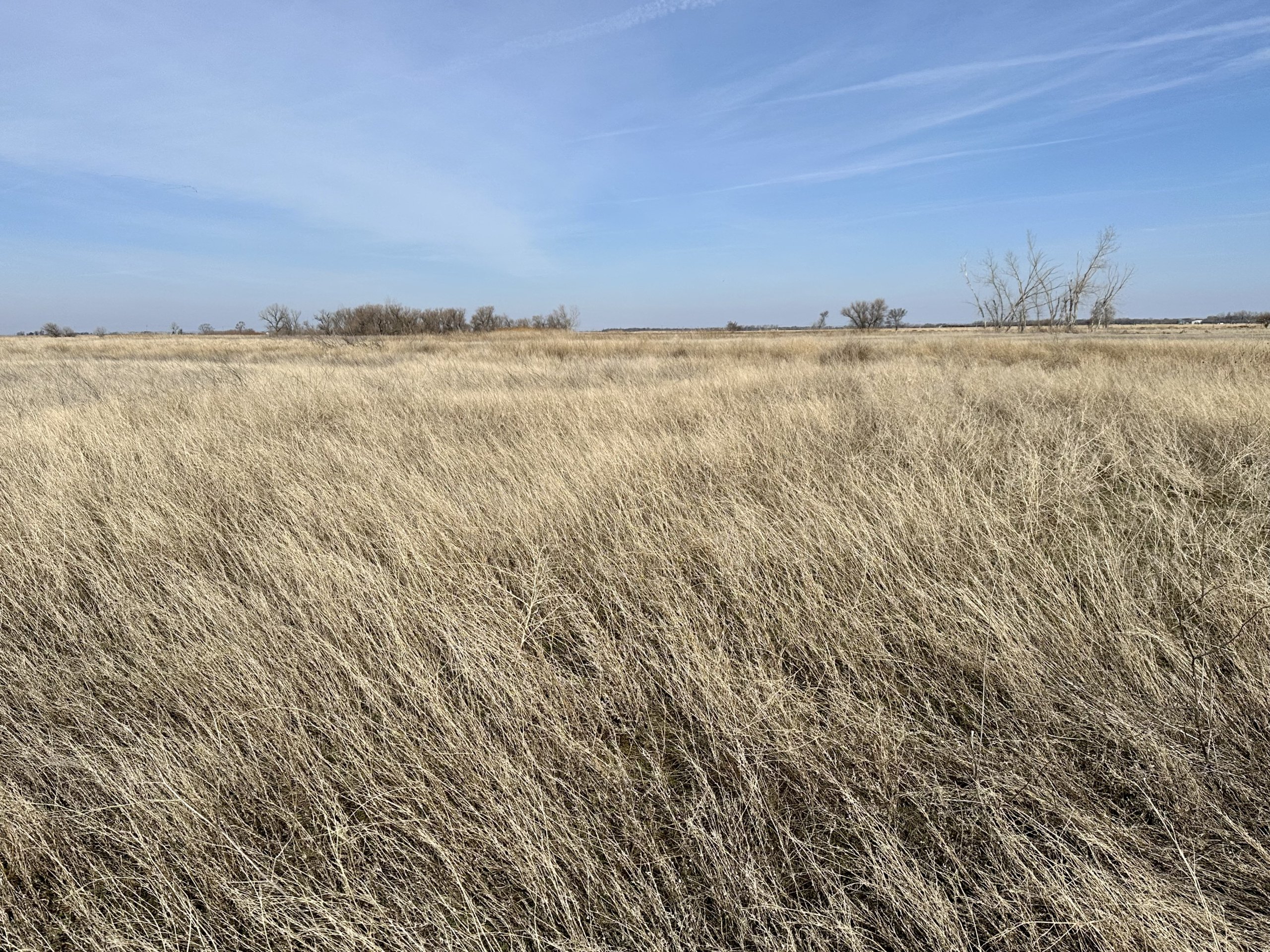 SOLD 80 ACRES CROPLAND & GRASSLAND DAWSON COUNTY, NE Marshall