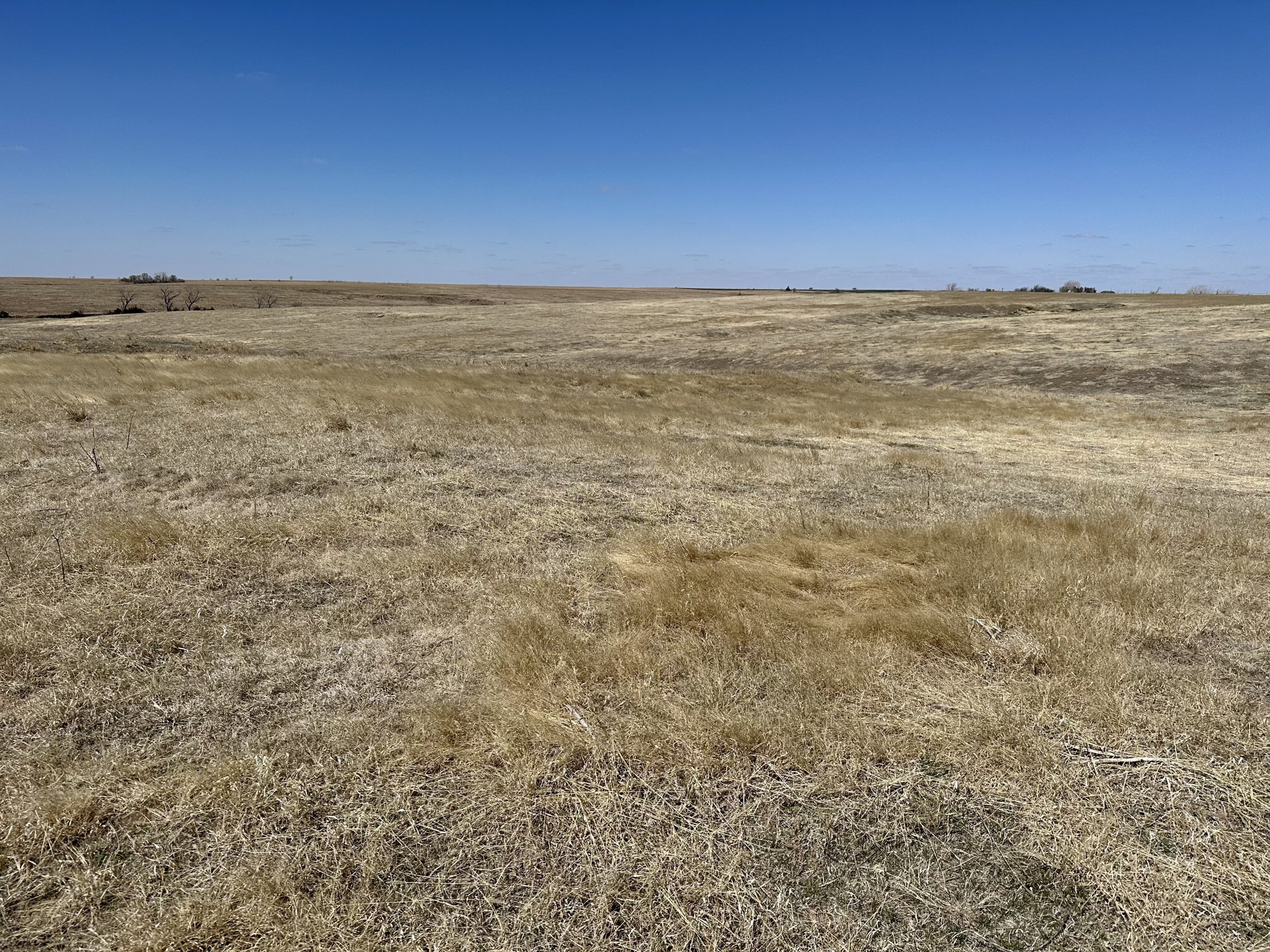 SOLD 157 ACRES GRASSLAND WEBSTER COUNTY, NE Marshall Land