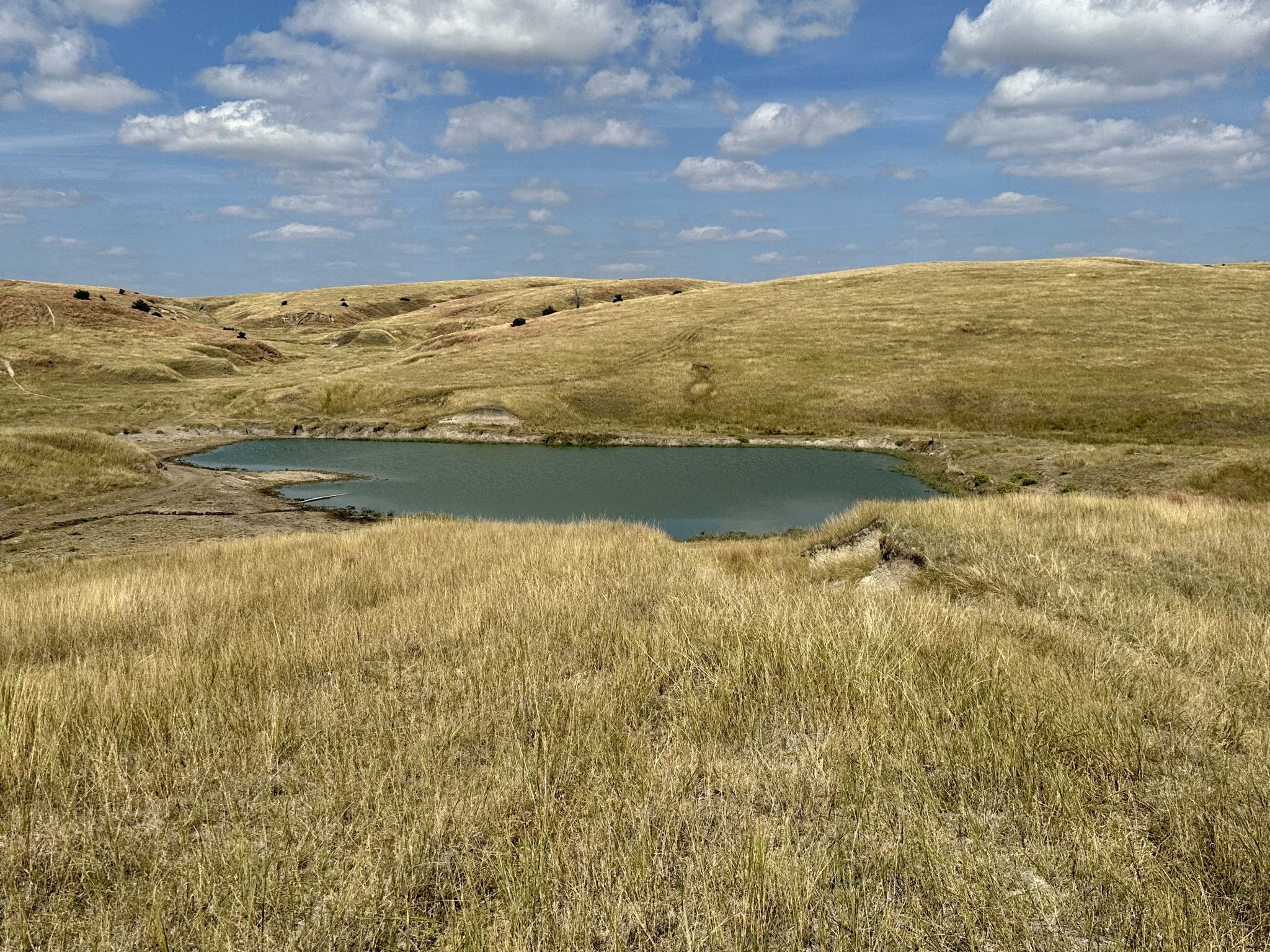 Farm & Ranch Land For Sale Marshall Land Brokers & Auctioneers of