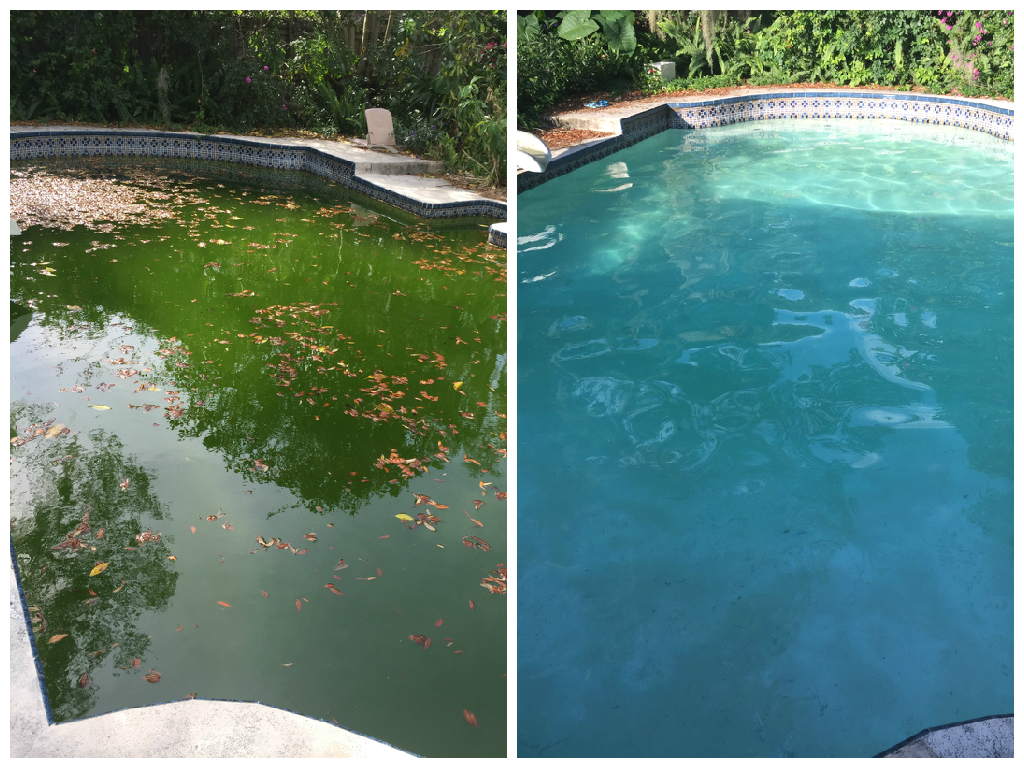 Marshall Pool Services Pool Services Brandon, FL