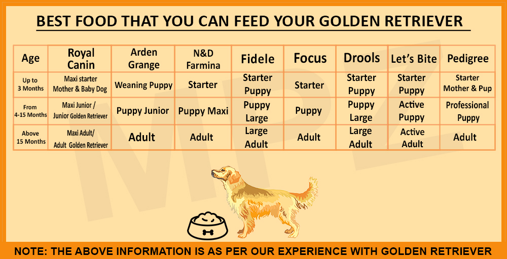 How Much Should A 4 Month Old Golden Retriever Weight