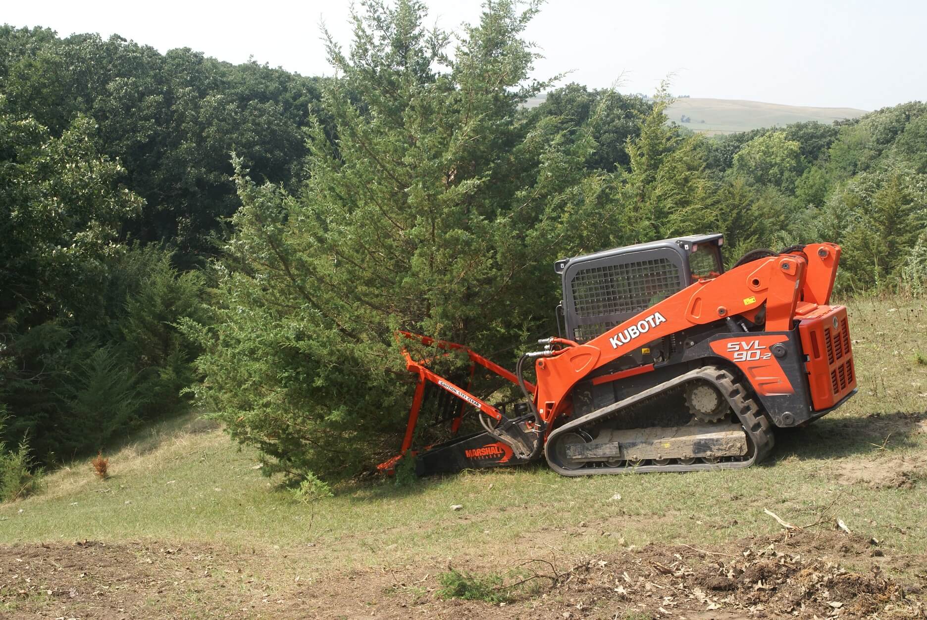 Home Marshall Tree Saw