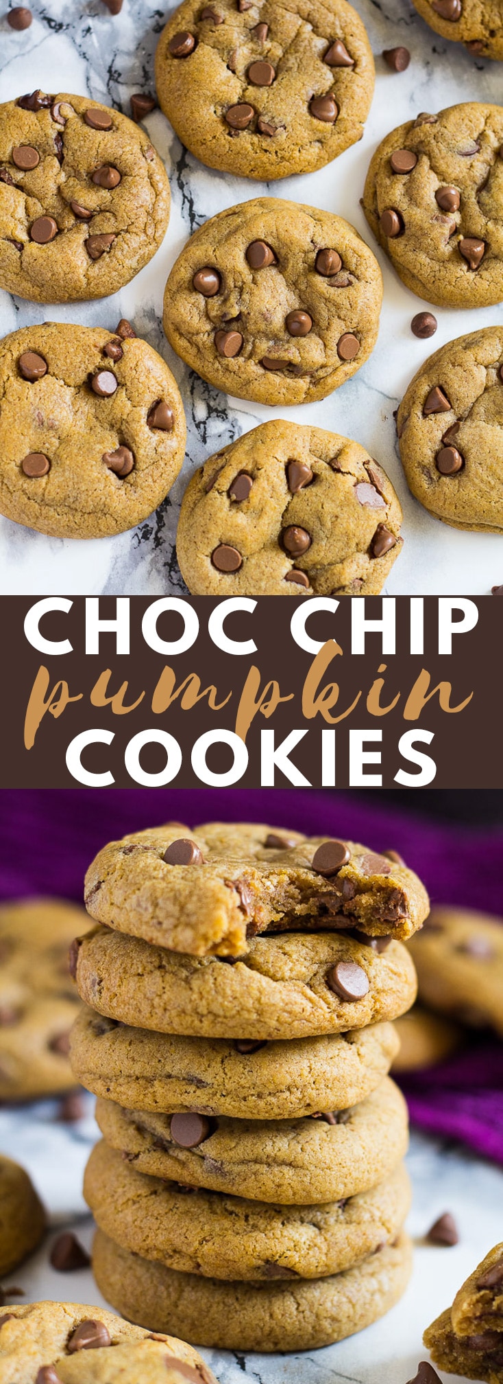 Chocolate Chip Pumpkin Cookies Marsha's Baking Addiction