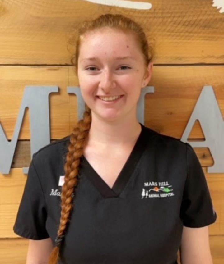 Experienced Veterinarians Bogart Animal Hospital