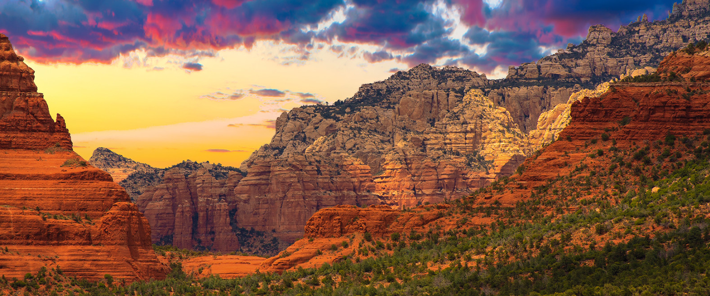 Marsh Management rentals and property management single family homes