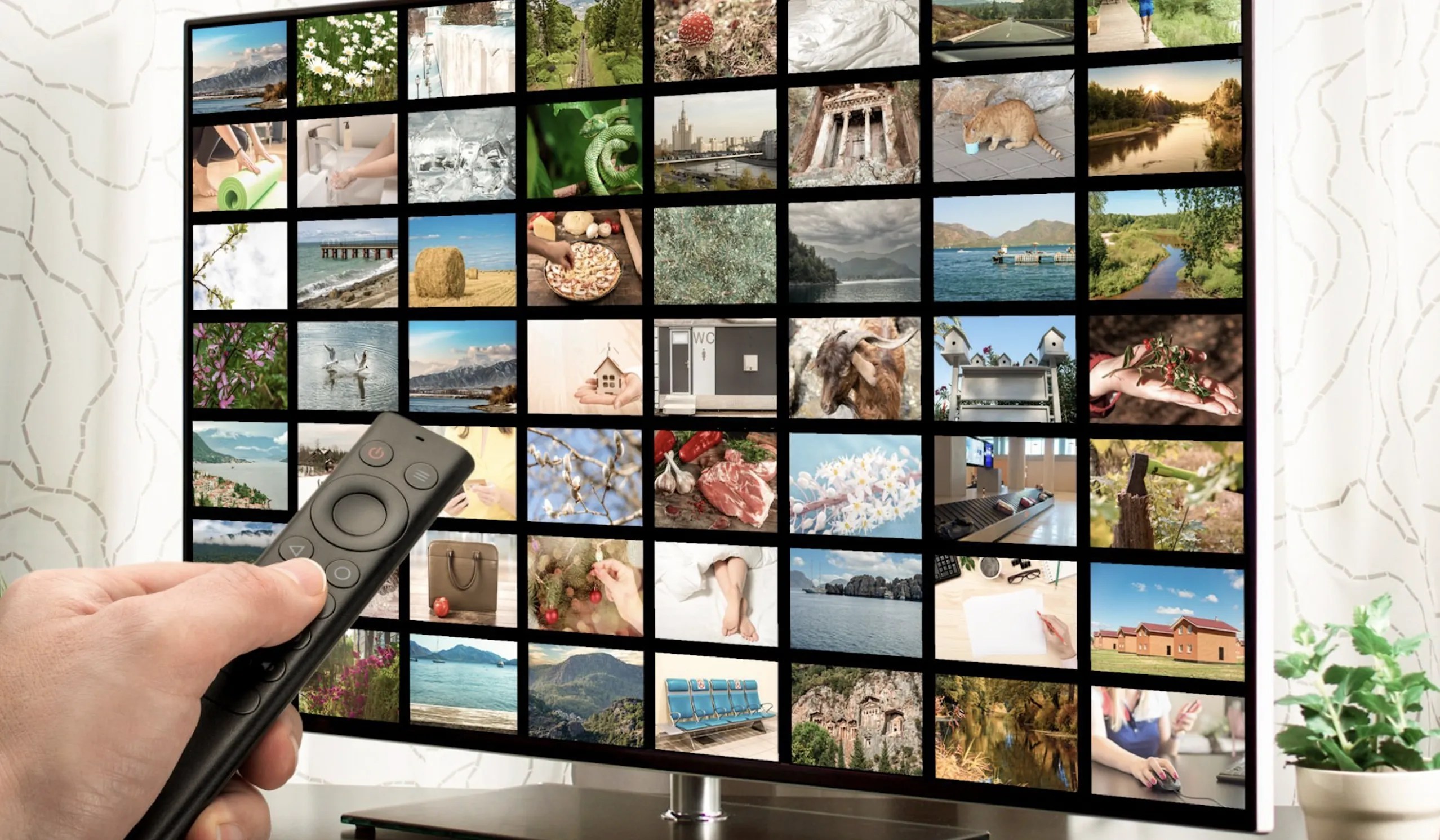 OLED Vs Nano Cell Are They The Same Or Different?