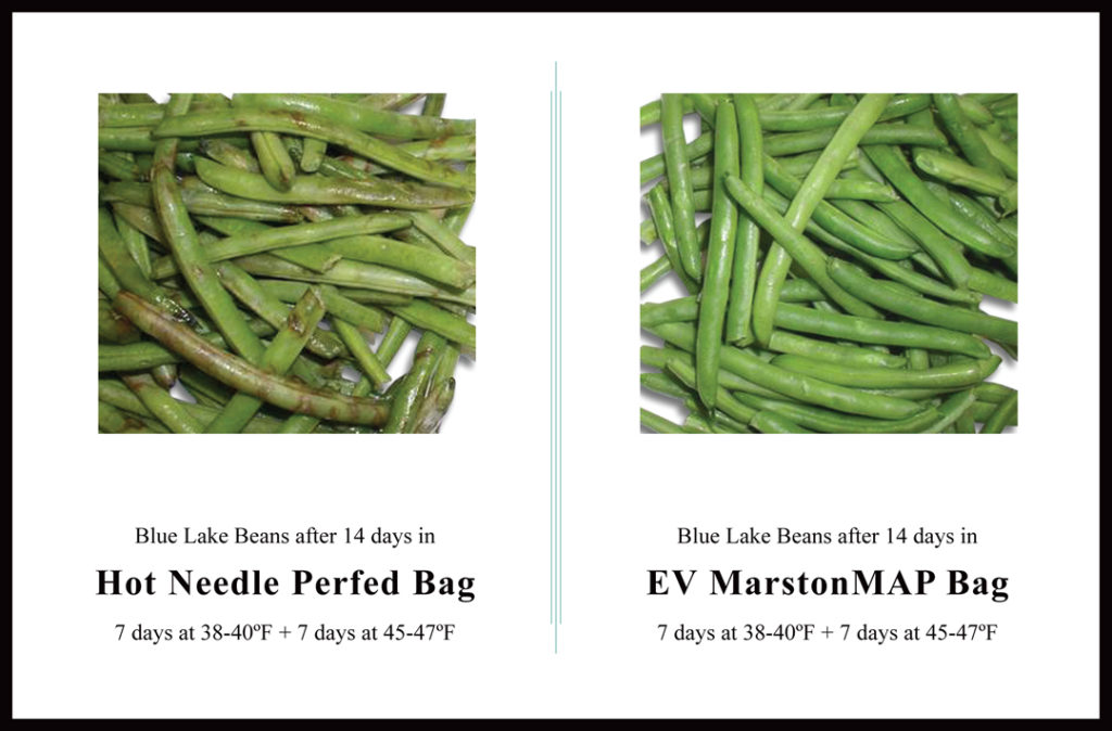 Green Beans MarstonMAP