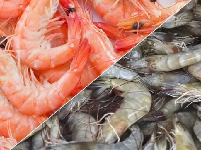 Diferences between shrimps and prawns
