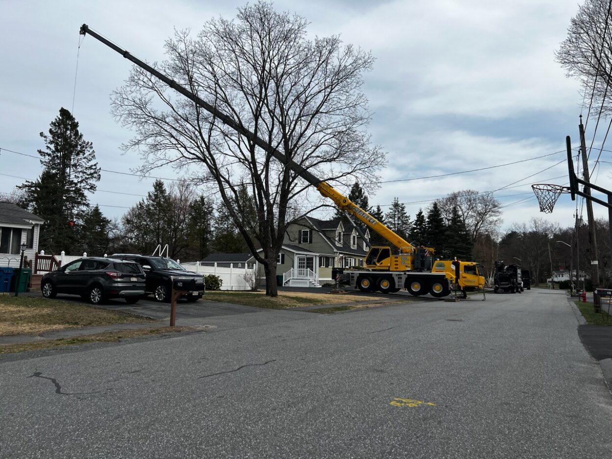 April 18, 2023 Martel Crane Service & Tree Removal