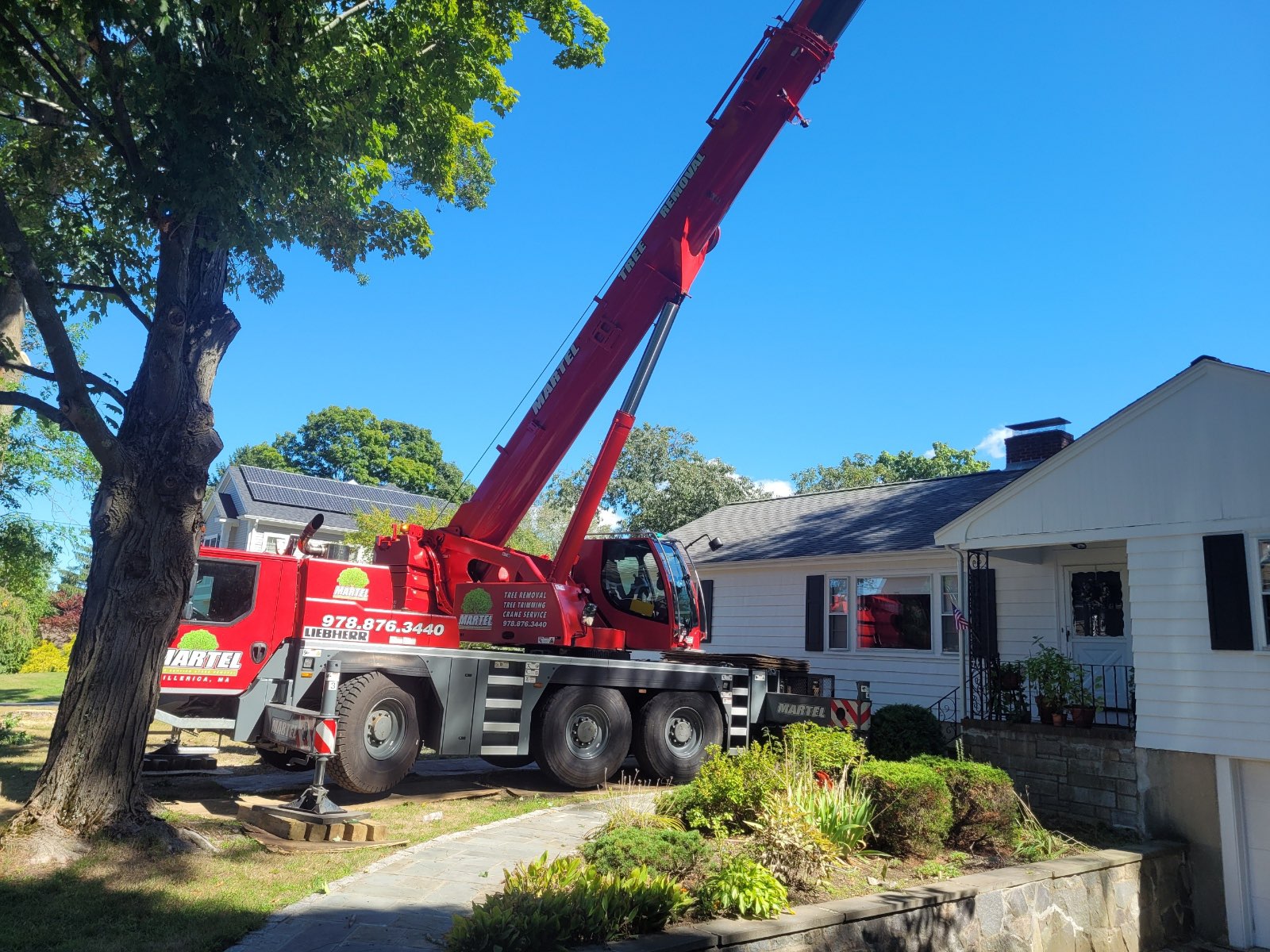 Tree Removal and Service in Lexington, MA Martel Crane Service & Tree