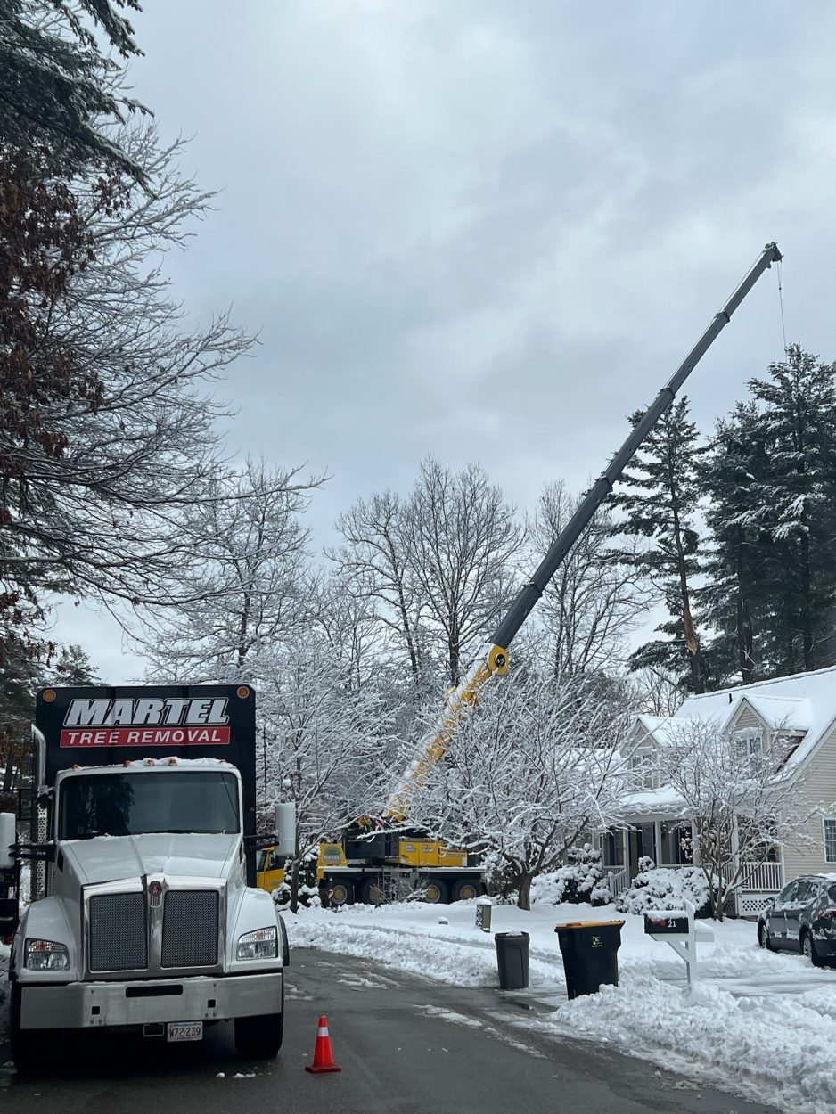 February 1, 2023 Martel Crane Service & Tree Removal