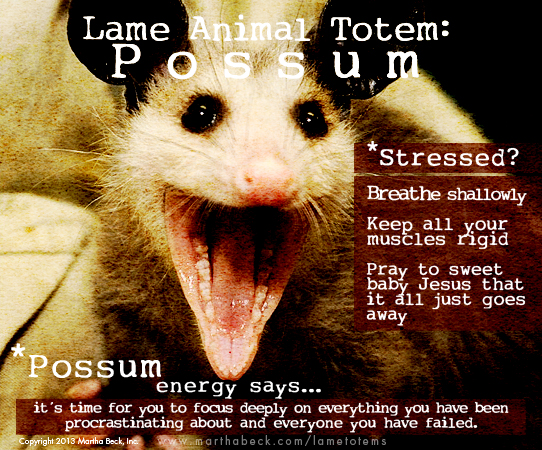 Lame Animal Totem Possum Martha Beck