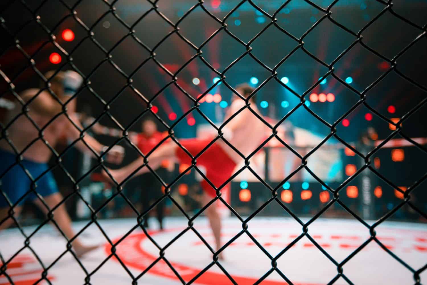 UFC Weight Classes and Champions!