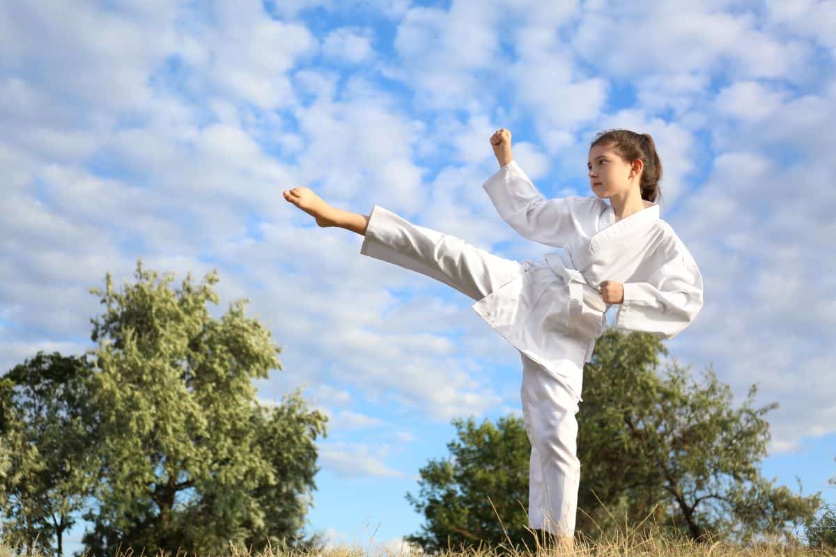 Can You Learn Karate at Home?