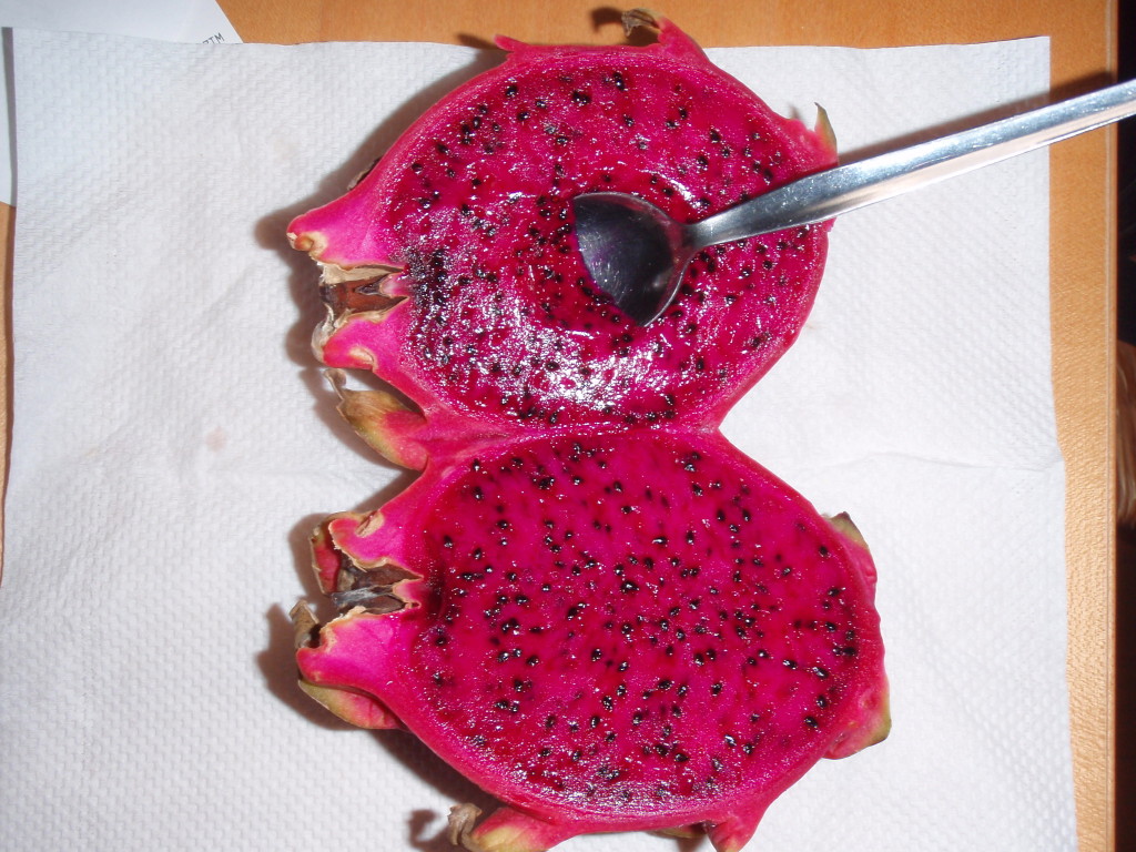 Here be dragonfruits バカな火星人(015)