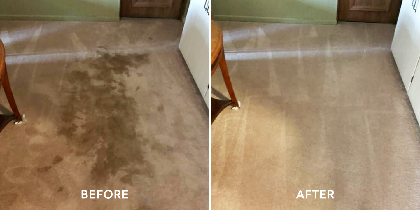 Residential Carpet Cleaning Martin Carpet Cleaning