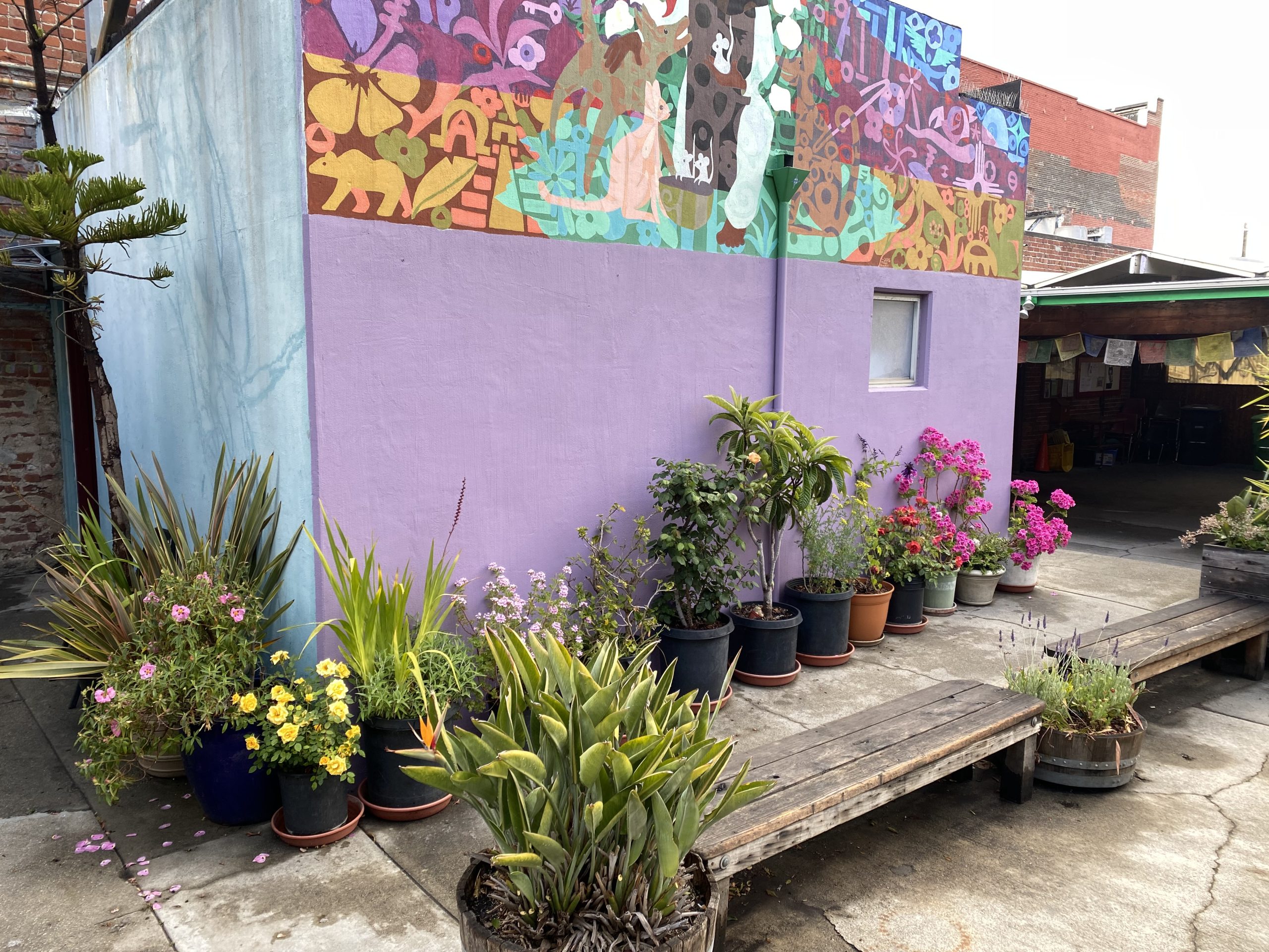 Martin de Porres House of Hospitality