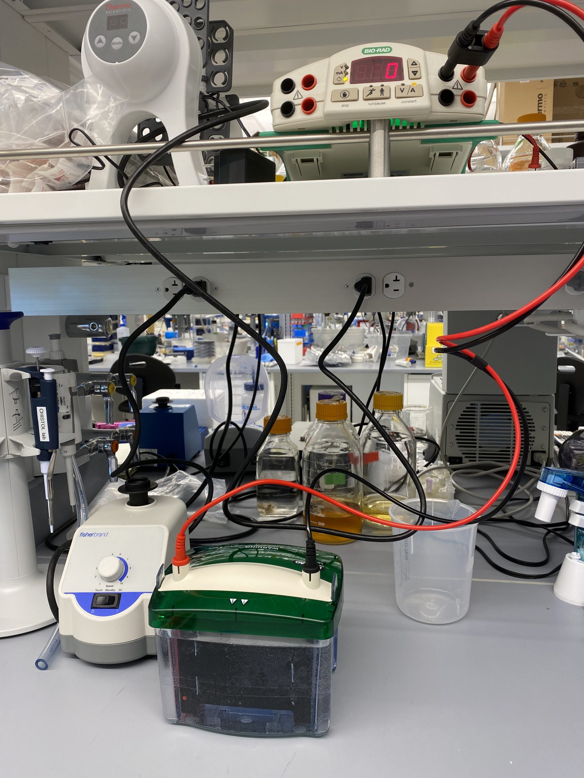 Martinez Lab » First lab experiment ever is in the books!