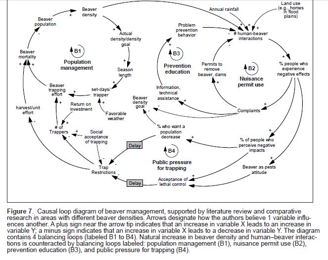 Beaver Population Density? Or populace DENSE about beavers? Worth A Dam