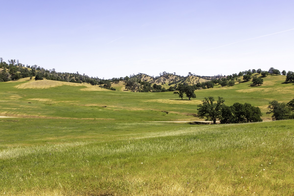 Buying Farmland As An Investment What Are The Benefits?