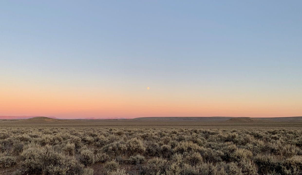 Beaty's View Land For Sale Martin Outdoor Property Group